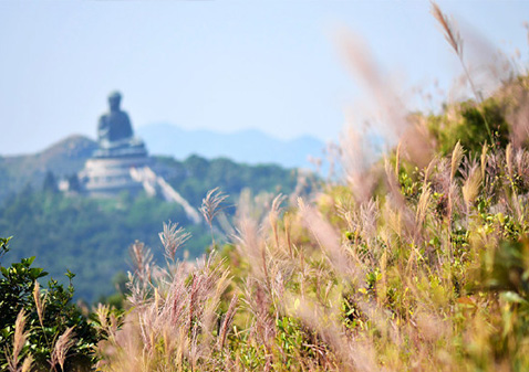 秋天──賞芒、賞日落、賞日出